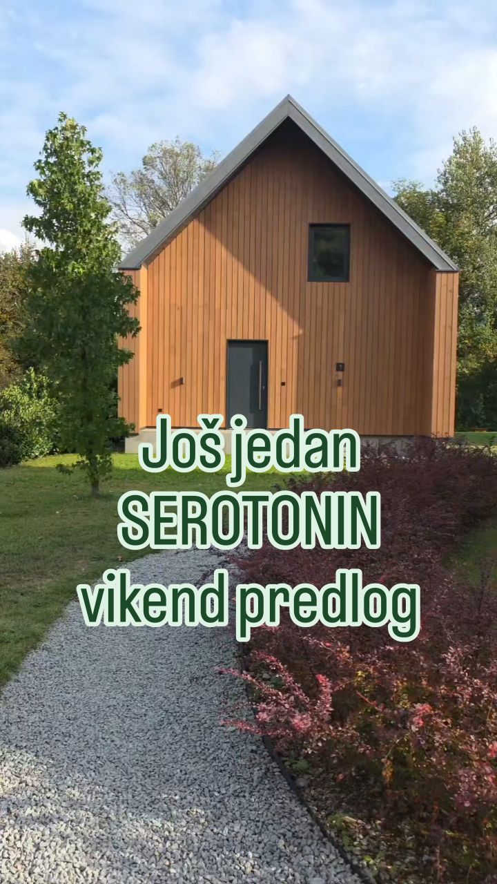 SEROTONIN 29 796817241 18631559923020866 1605468088030679073 n