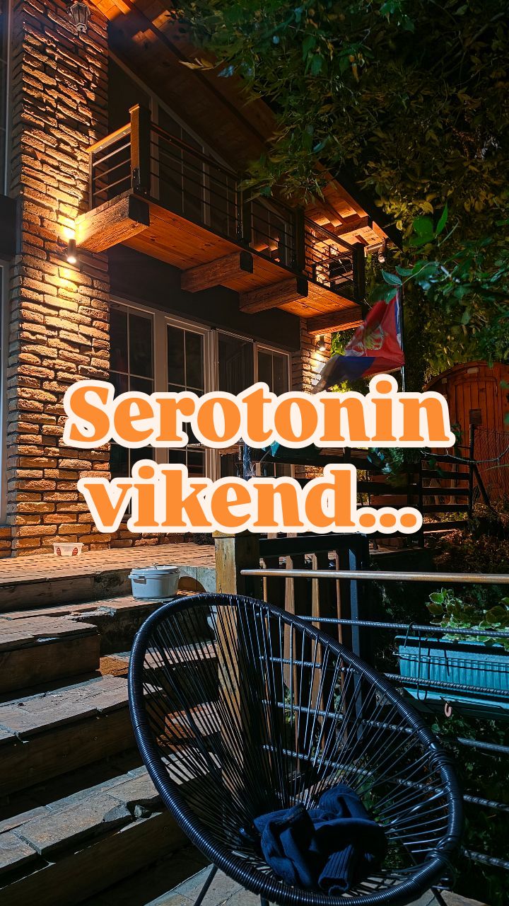 SEROTONIN 29 806298928 18628178677020866 3347823498073321959 n
